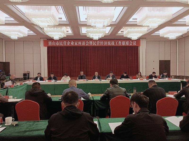 潜山市民营企业家座谈会召开.jpg